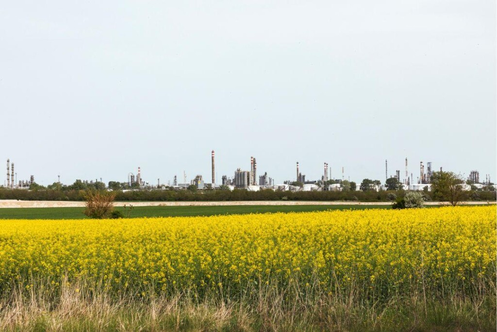 Fields Pannonia Horizontal