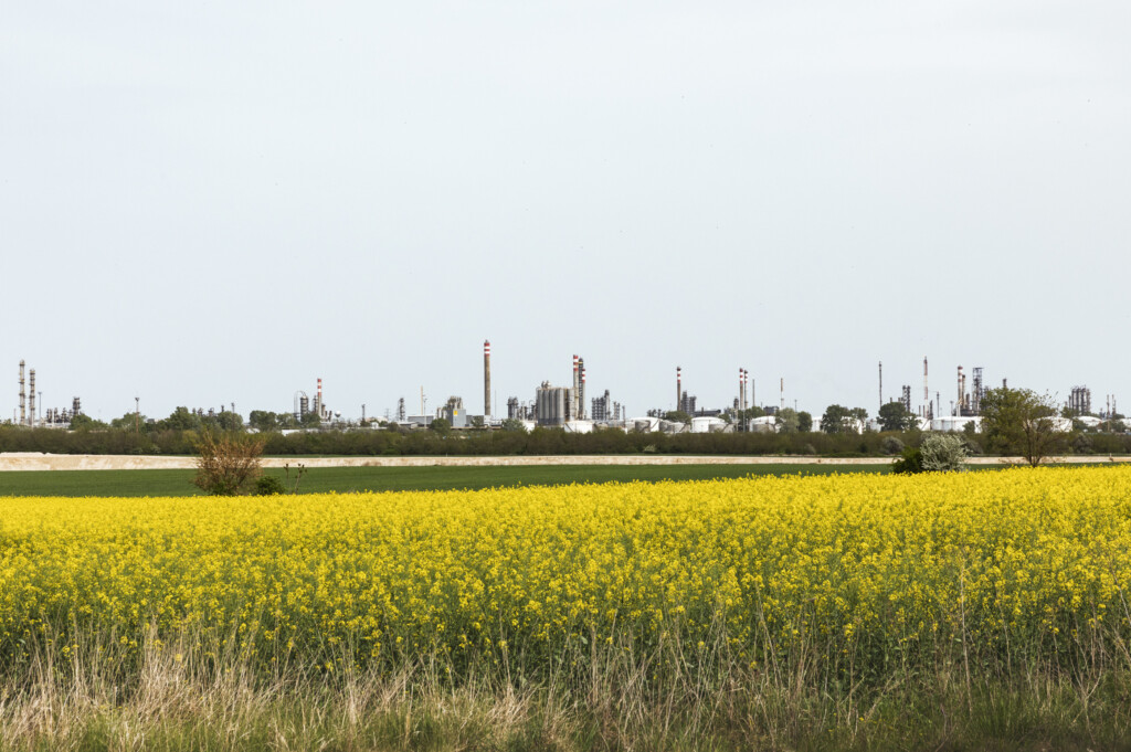 Vahterus Hot Cold 1 2019 Pannonia 4